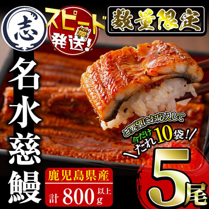 【丑の日までにお届け！7月20日入金まで】【緊急支援企画】【数量限定】鹿児島県産うなぎ蒲焼 名水慈鰻5尾(計800g以上・1尾あたり156〜185g以上) 鰻 ウナギ 5尾 国産 蒲焼 かばやき 冷凍 うな重 ひつまぶし タレ 山椒 ランキング 人気【鹿児島鰻】b