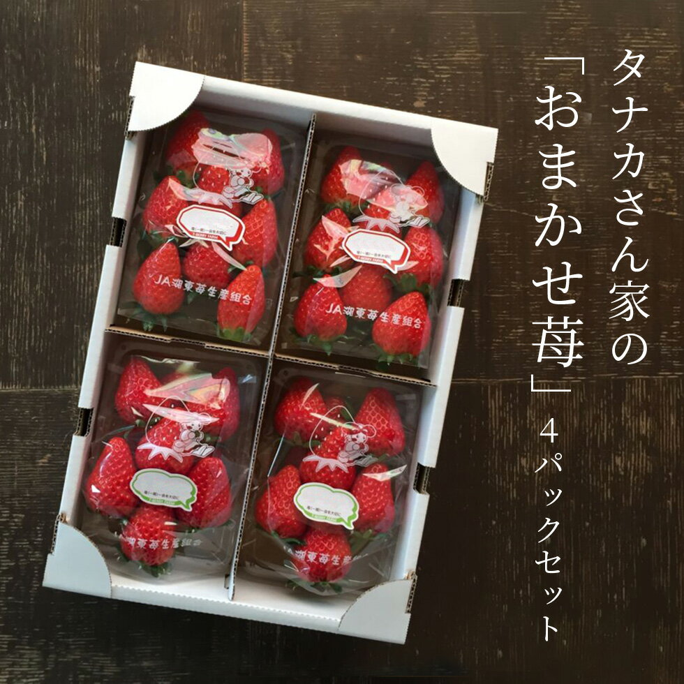 【ふるさと納税】 農家さんのおまかせ苺4パックセット 果物 くだもの 苺 いちご 新鮮 しんせん 農園直送 楽天 寄付 返礼品 お歳暮 ギフト プレゼント お祝い 贈り物 ふるさと納税　A-G03　株式会社TKS