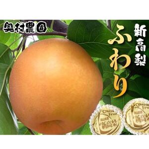 《2025年9月中旬より順次発送》新高梨 ふわり(5玉入り)【配送不可地域：離島】【1619638】