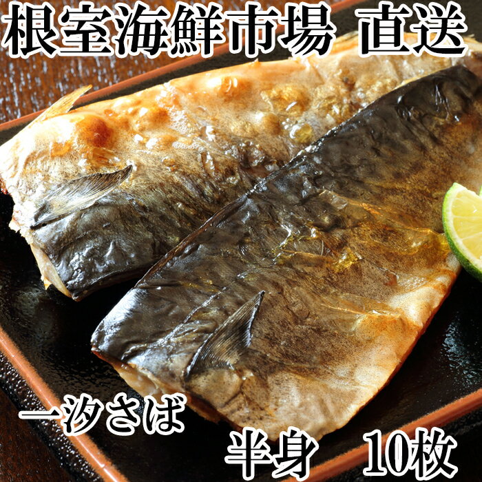 【ふるさと納税】【12月10日決済確定分まで年内配送】 無添加天然サバフィーレ 10 枚 さば 鯖 魚 さかな サカナ お取り寄せ グルメ 海鮮 一汐さば 半身 焼き魚 おかず 北海道 根室市 ふるさと納税 G-11022