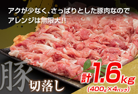 数量限定 豚肉 切り落とし 鶏肉 モモ ムネ セット 合計3.1kg 国産 食品 ポーク チキン おかず 人気 大容量 万能食材 焼肉 から揚げ 炒め物 お弁当 おつまみ 詰め合わせ 食べ比べ 小分け