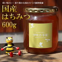 【ふるさと納税】E-26 国産はちみつ600g