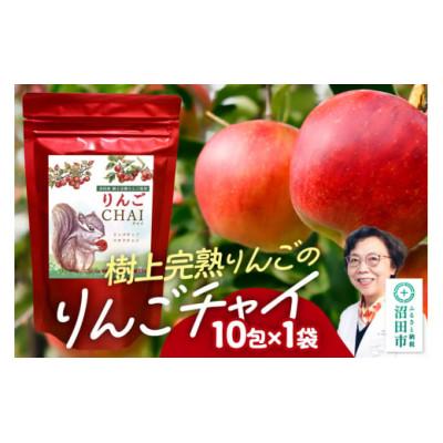ふるさと納税 沼田市 りんごチャイ(3g×10包) 1袋 タグひも付きティーバッグタイプ