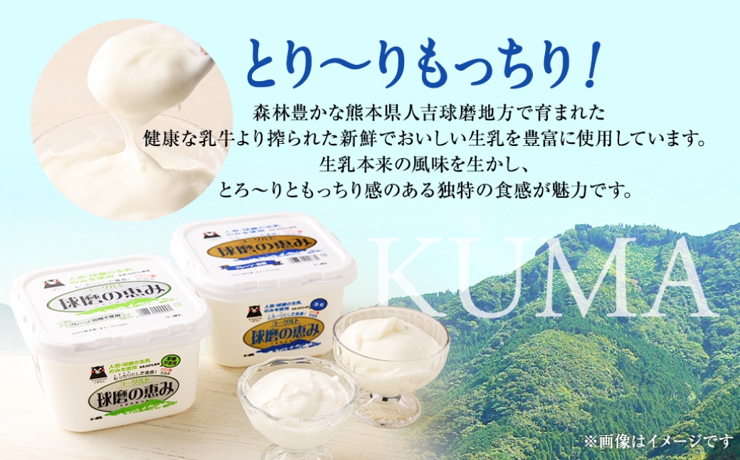 とろ～り食感！！球磨の恵みヨーグルトセット