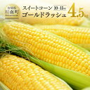 【ふるさと納税】【令和7年発送】宮崎県産とうもろこし　大山さんちのスイートコーン「ゴールドラッシュ」4.5kg - 先行予約 数量限定 期間限定 季節限定 送料無料 とうもろこし 2025年発送 九州産 宮崎県産 川南町産 D07104