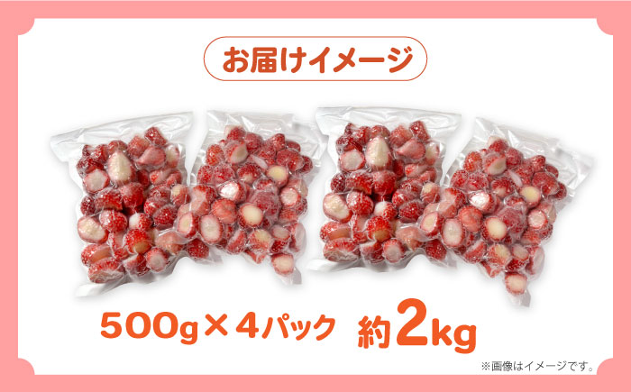 【2026年3月〜発送】【訳あり】【数量限定】冷凍 カットいちご「恋みのり」 加工用 約500g×4P / 冷凍 いちご イチゴ 苺 フルーツ 冷凍フルーツ ジャム / 南島原市 / あゆみfarm 
