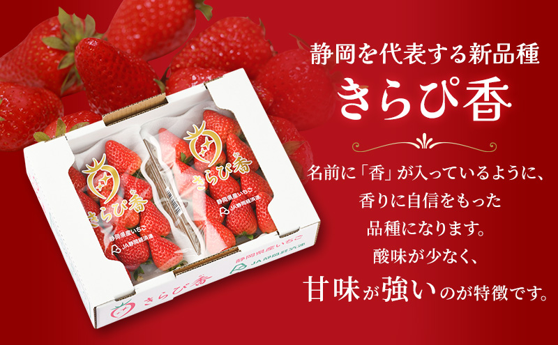 JA遠州中央 きらぴ香 いちご 4パック 260g×4 遠中 静岡県 静岡 袋井市 袋井 イチゴ 苺 贈答 フルーツ 果物 くだもの 人気