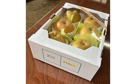 『令和7年産先行受付』 山形県産 和梨 6玉 ※品種おまかせ 秀品 約1.8kg~2kg 梨 洋梨 フルーツ 果物 くだもの 山形県 中山町 F4A-0465