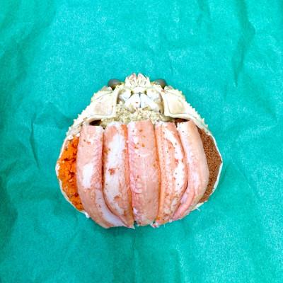 ふるさと納税 京丹後市 セイコガニ甲羅盛Mサイズ　3個セット　
