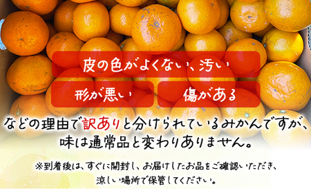高橋農園【訳あり】山北みかん 露地(Ｓ～Ｍ)Ｂ品 10kg - 果物 フルーツ ミカン 蜜柑 柑橘 家庭用 自宅用 新鮮 農家直送 露地 th-0010