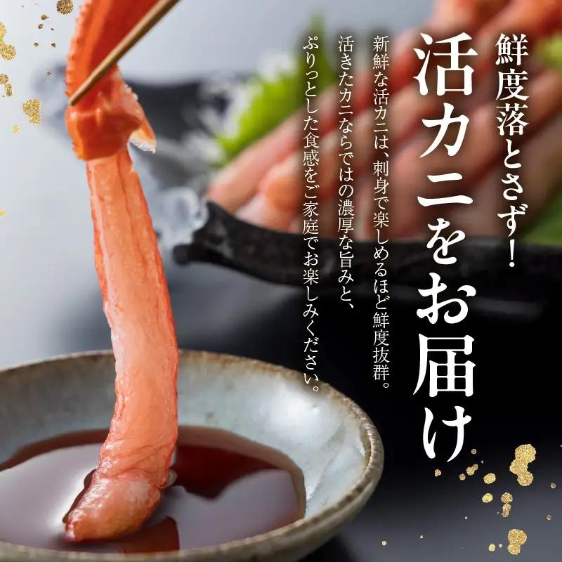 《生》 香住ガニ 大 タグ付き 約800g×2枚【令和8年11月以降発送予定】かに カニ 03-07