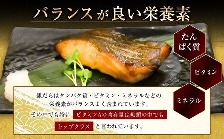 【7営業日以内発送】納得のボリュームと食べ応え！ 銀だらみりん干し10枚入（1枚約100g／計約1kg）銀鱈 銀ダラ ギンダラ ぎんだら 鱈 個包装 干物 冷凍 長崎県 長崎市