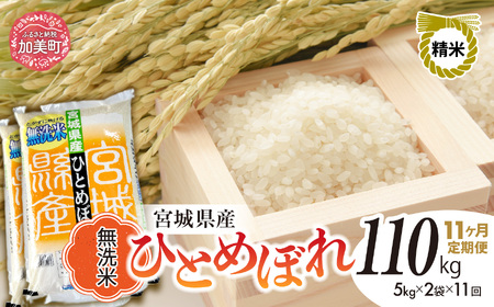 【新米予約】宮城県産ひとめぼれ 無洗米 10kg×11回定期便 ひとめぼれ