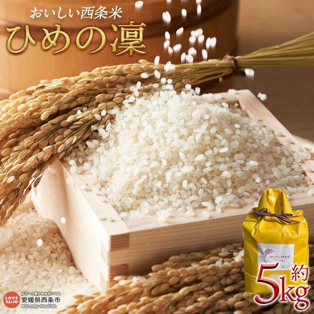 【ふるさと納税】＜令和7年産 おいしい西条米「ひめの凜」5kg＞※翌月末迄に順次出荷します。 ひめの凛 ひめのりん 白米 精米 お米 こめ コメ ご飯 ごはん ライス おにぎり 弁当 夕食 非常食 備蓄 国産 いとまち 株式会社糸プロジェクト 愛媛県 西条市【常温】