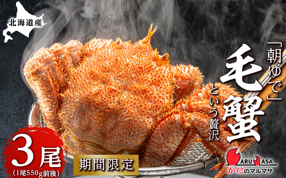 北海道産【朝ゆで】毛ガニ（550g前後）3尾 期間限定！≪かにのマルマサ≫ かに 毛がに カニ 千歳 北海道 海鮮