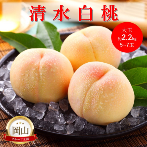 岡山県産 清水白桃 大玉 (約2.2kg) 5～7玉 桃 白桃 もも 果物 フルーツ