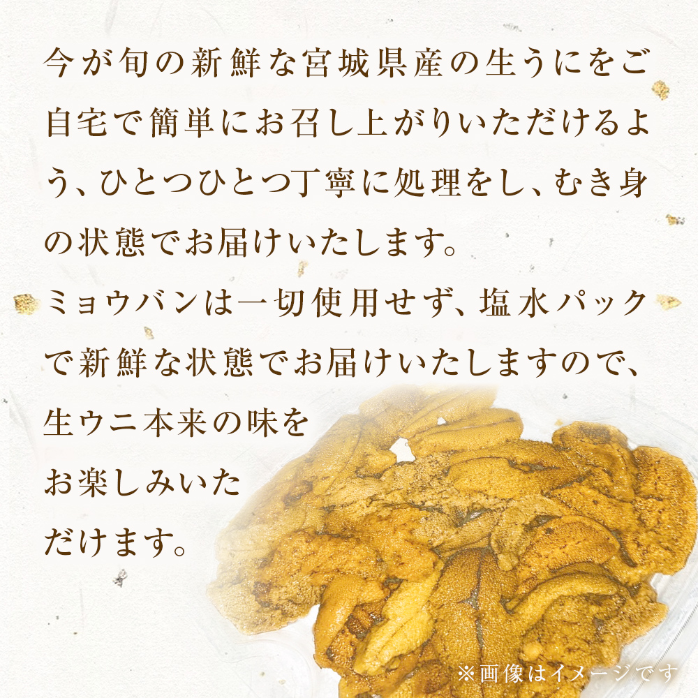  〈先行予約〉生うに ウニ 訳あり 塩水生うに 宮城県産  160g
