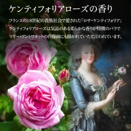 エムナー デッドシー ミネラルソルト クリスタル ローズ 1kg×2本セット【1575544】