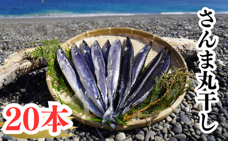 干物 さんま丸干し 20本 干物【uosk0016】