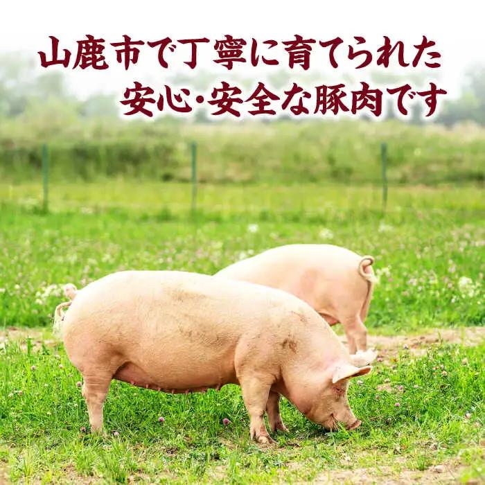 【12回定期便】豚肉 焼肉用（バラ・肩ロース）約1.2kg（約300g×4pc）【吉里精肉】[ZEW098]
