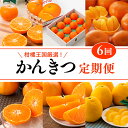 【ふるさと納税】【愛媛県共通返礼品】【定期便】愛媛のかんきつ定期便（全6回）（日の丸みかん・紅まどんな・伊予柑・甘平・せとか・河内晩柑）　※2024年11月～2025年4月に毎月1回発送予定