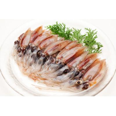 ふるさと納税 香美町 (先行予約)刺身用生ほたるいか(2kg)(令和7年3月中旬以降の発送) |  | 01