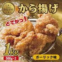 【ふるさと納税】どでか味付けから揚げ ガーリック味 500g×2パック 計1kg 大容量 唐揚げ からあげ から揚げ ガーリック ニンニク にんにく 揚げ物 冷凍 惣菜 簡単 調理 肉 おかず 味付き 野崎フーズ 新潟県 南魚沼市