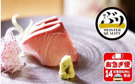 D4-4705／【鹿児島産ぶり】冷凍・ぶり１尾セット（皮無ロイン背腹計４ｐ、カマ２ｐ）