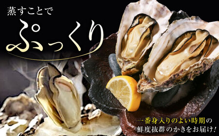 冷凍牡蠣殻付き15個 牡蠣[XBP018]