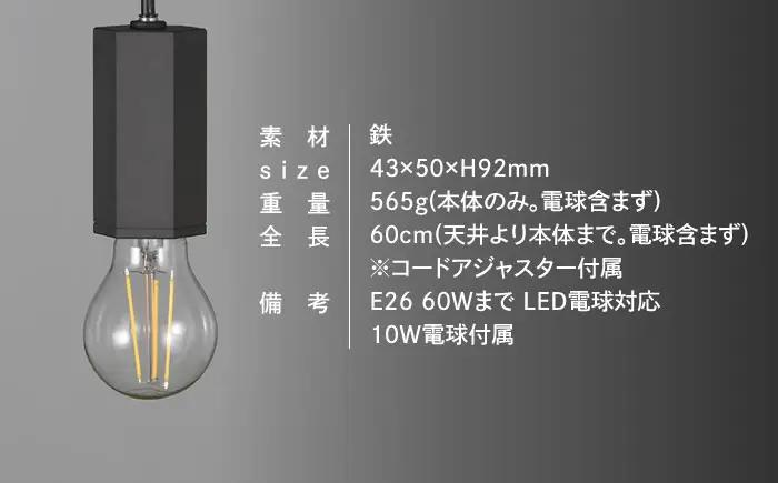 CTSH LIGHT. ペンダントライト＜HEXAGONパーカーライジング E26＞ 瑞浪市 / ジオニック 照明器具 ソケット 鉄 ブラック [AZBQ100]