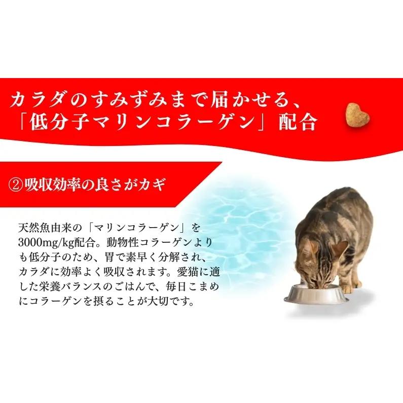 キャットフード ビューティープロ 下部尿路の健康維持 キャットフード