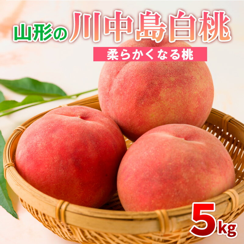 【ふるさと納税】山形の川中島白桃 5kg (10〜16玉) [柔らかくなる桃] 【令和7年産先行予約】FS24-565 くだもの 果物 フルーツ 山形 山形県 山形市 お取り寄せ 2025年産