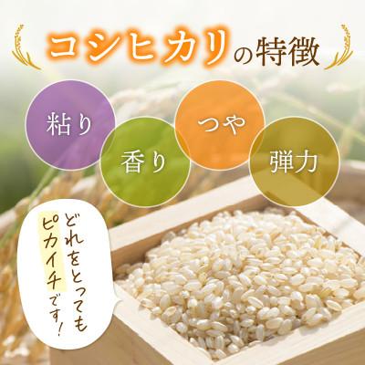 ふるさと納税 越前町 令和7年産　コシヒカリ(玄米)　3kg |  | 01
