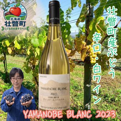 ふるさと納税 壮瞥町 YAMANOBE BLANC 2023(ヤマノベブラン)白ワイン SBTQ012