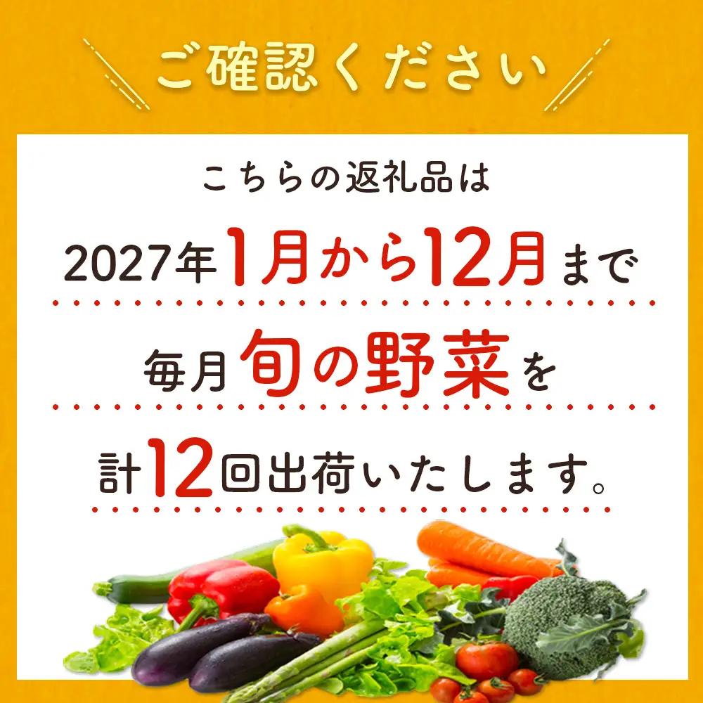 【12か月】野菜定期便 2027年出荷 野菜セット G51-27