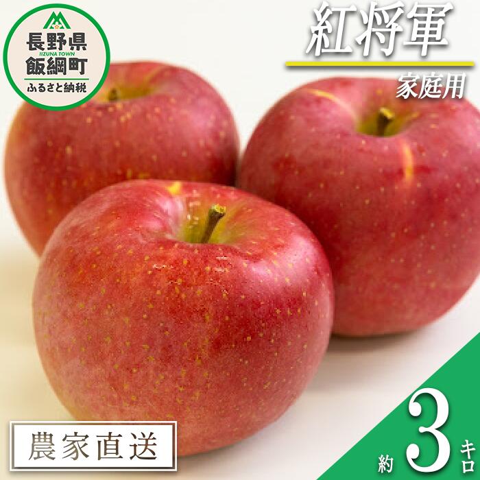 【ふるさと納税】 りんご 紅将軍 家庭用 3kg 永野農園 沖縄県への配送不可 令和7年度収穫分 長野県 飯綱町 〔 信州 果物 フルーツ リンゴ 林檎 長野 予約 農家直送 10000円 〕発送時期：2025年9月下旬〜2025年10月上旬