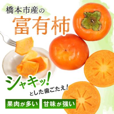 ふるさと納税 橋本市 柿【2026年度発送分】ケーズファーム　富有柿　M　14個程度(約2.8kg) |  | 01