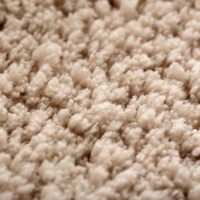 ふるさと納税 九度山町 思わず頬ずりしたくなるバスマット プレミアム45×60cm　ベージュ |  | 02