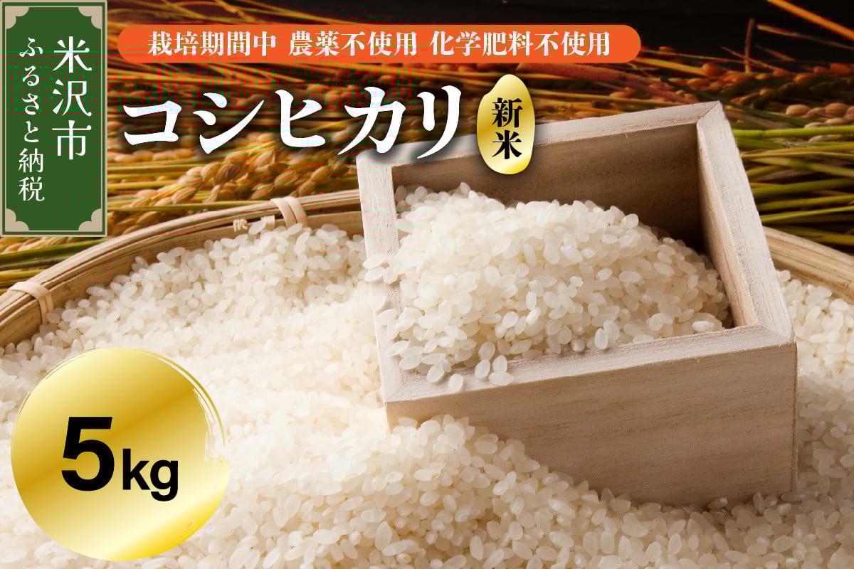 
            【 令和7年産 】 コシヒカリ 5kg 【栽培期間中農薬不使用・化学肥料不使用】 産地直送 2025年産
          