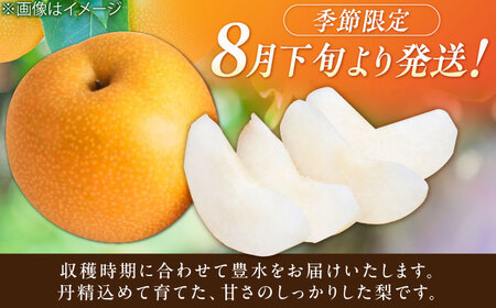 【先行予約！2024年8月下旬より順次発送】産地直送 梨 約5kg なし 豊水 果物 甘い 広川町/JAふくおか八女農産物直売所どろや[AFAB023]