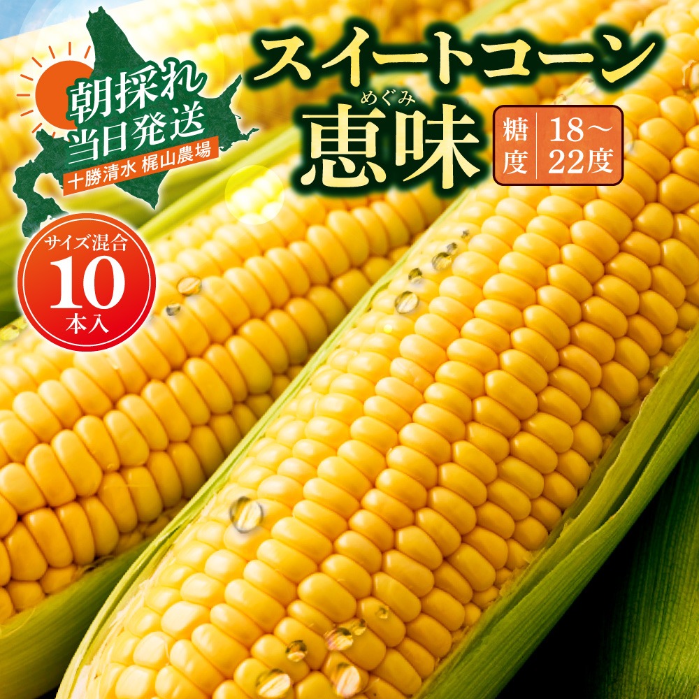 先行受付！【2026年8月頃～発送開始！】北海道十勝清水町産 恵味 サイズ混合 10本 北海道産 2026年 とうもろこし とうきび 産直 産地直送 清水町 北海道_S041-0011