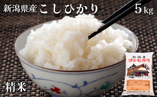 令和8年産　新米 新潟県 こしひかり　精米 5kg 特別栽培米 減農薬