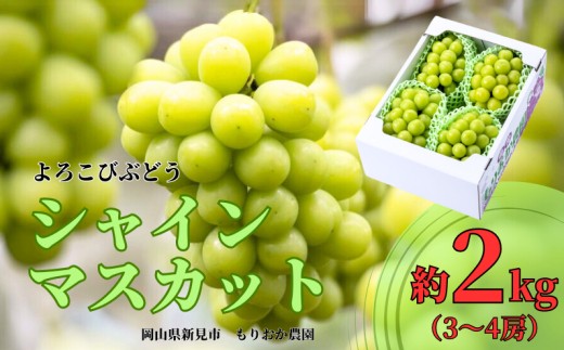 
                  もりおか農園のよろこびぶどう シャインマスカット 約2kg 3～4房 【先行予約 2026年10月下旬から順次発送】
                