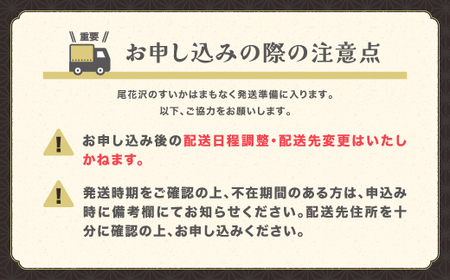 先行予約 尾花沢産すいか 2Lサイズ 約7kg×2玉 7月中旬～8月中旬頃発送 令和6年産 2024年産 農産加工 ※沖縄・離島への配送不可 nk-su2xx2