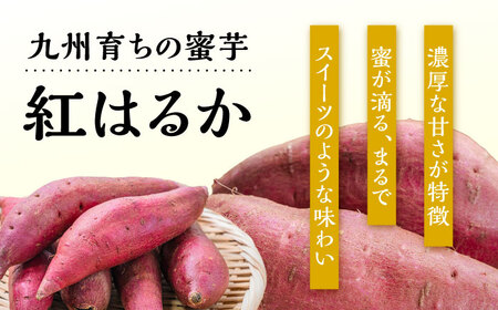 【九州産紅はるか干し芋】しっとりはるか90g×10袋セット　日田市 / 日本農林産食品製造株式会社 ほしいも  干しいも さつまいも[ARFV004]