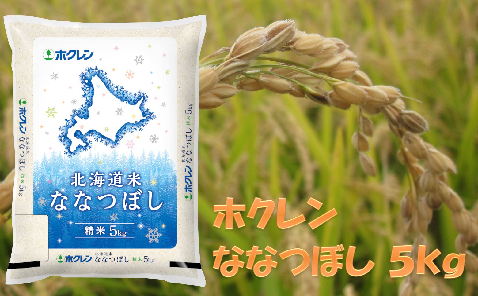 
                  （精米５ｋｇ）ホクレンななつぼし
                