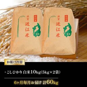 【定期便】令和5年産 こしひかり 10kg 全6回 近江米 米粉 200g付（竜王町産 こしひかり 新米 こしひかり 白米 こしひかり 精米 こしひかり 10キロ こしひかり）