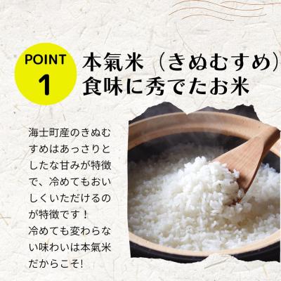 ふるさと納税 海士町 島のブランド米「本氣米(きぬむすめ)」10kg |  | 01