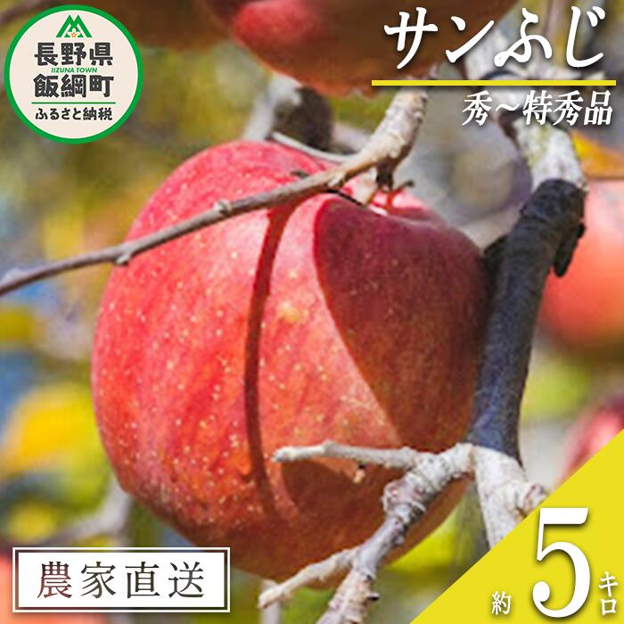 【ふるさと納税】 りんご サンふじ 秀 〜 特秀 5kg 丸山功農園 沖縄県への配送不可 令和7年度収穫分 長野県 飯綱町 〔 信州 果物 フルーツ リンゴ 林檎 長野 16000円 予約 農家直送 〕発送時期：2025年11月中旬〜2025年12月上旬 {***}