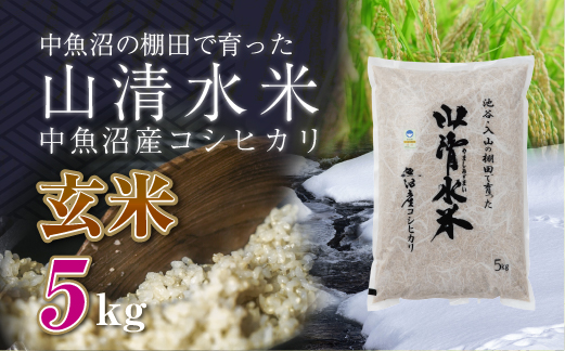 新潟県魚沼産コシヒカリ「山清水米」玄米5kg 